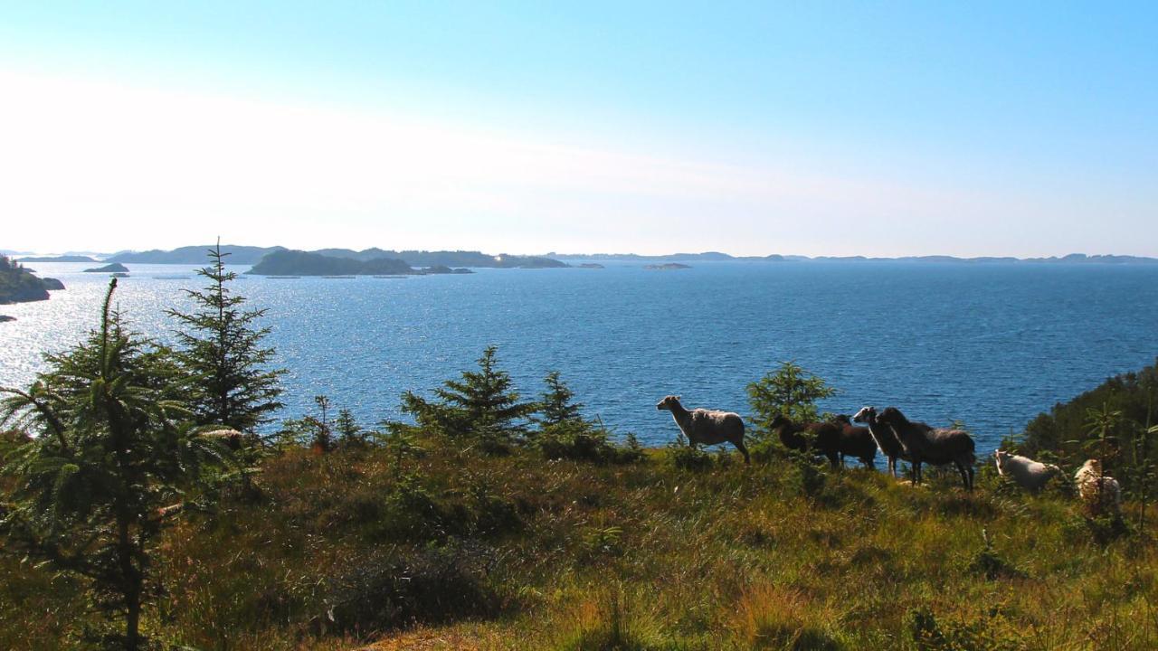 Kobbaneset Hk - Tett Pa Havet - Bekkjarvikアパートメント エクステリア 写真