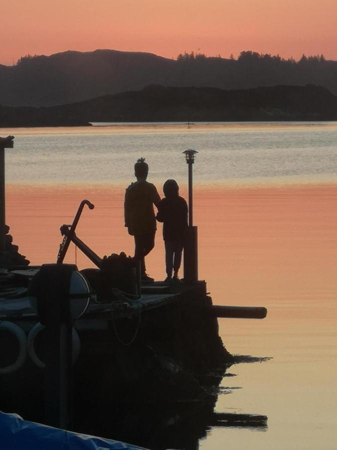 Kobbaneset Hk - Tett Pa Havet - Bekkjarvikアパートメント エクステリア 写真