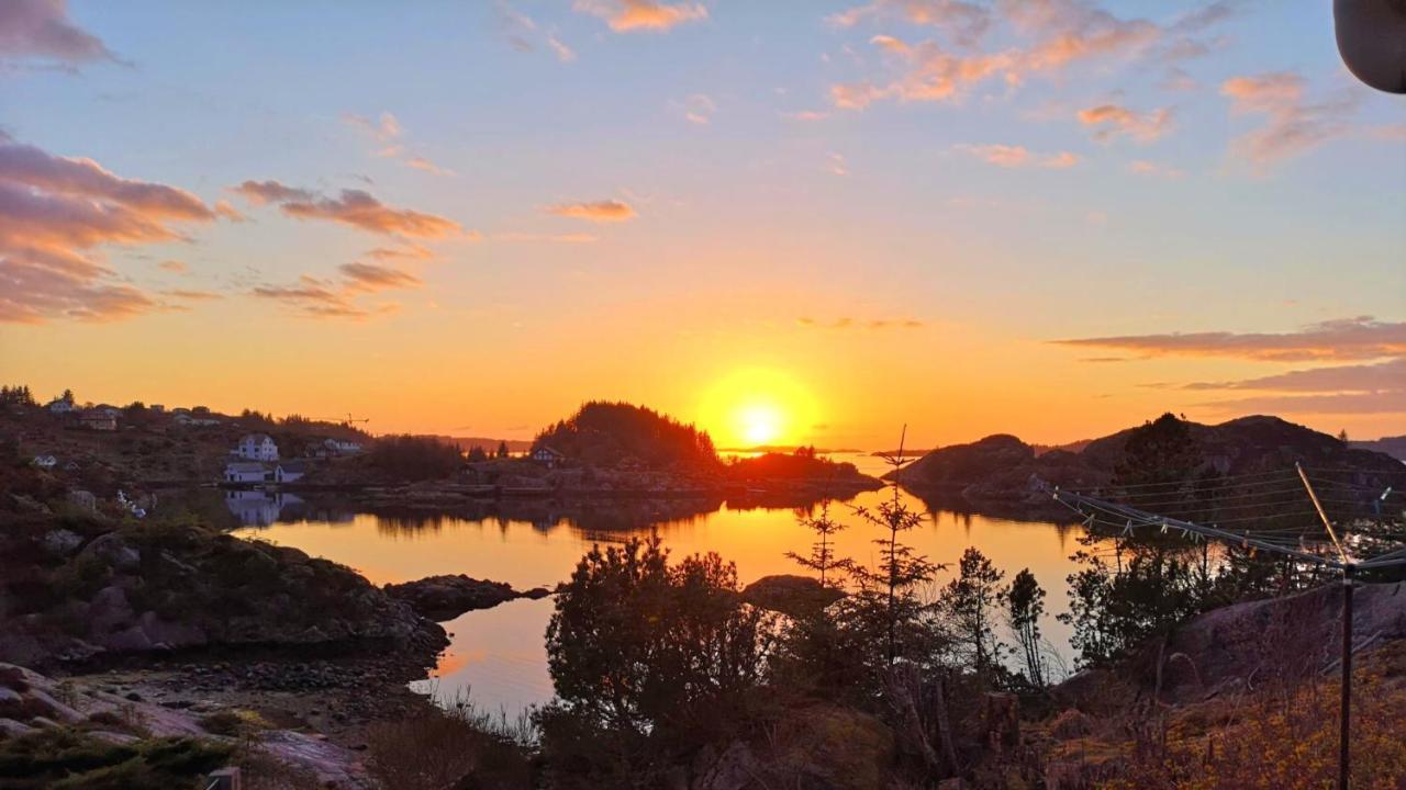 Kobbaneset Hk - Tett Pa Havet - Bekkjarvikアパートメント エクステリア 写真